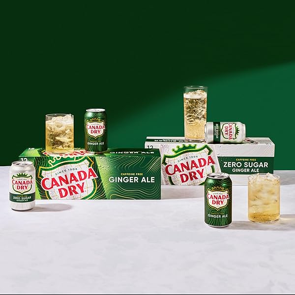 CANADA DRY GINGER ALE SODA, 12 FL OZ CANS, 12 PACK