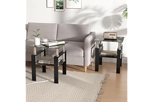 IANIYA 2PCS Modern Glass End Table, 2-Tier Side Table with Tempered Glass Top & Metal Legs, Night Stand Corner Table for Living Room, Bedroom,All Black