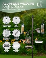 Pelle & Sol Bird Feeder Station with 3 Feeders 2 Dishes Garden view 2