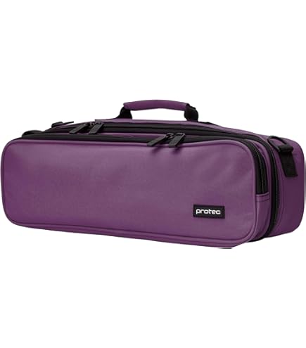 Amazon.com: Fluterscooter Silver Bag : Musical Instruments