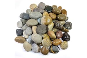 SHIZWU Natural Decorative River Rocks for Landscaping, 2-3 Inch Mixed Color Mexican Beach Pebbles, Pebbles for Gardens, Road Paving, Landscape, Outdoor Decoration (20LB,Mixed)