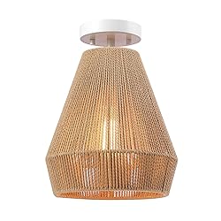 Globe Electric 65894 1-Light Flush Mount Ceiling