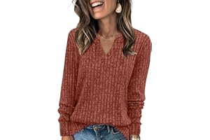 SAMPEEL Womens Tops Long Sleeve V Neck Pullover Fall Sweater Loose Fit Tunic Shirts Fashion Outfits 2025