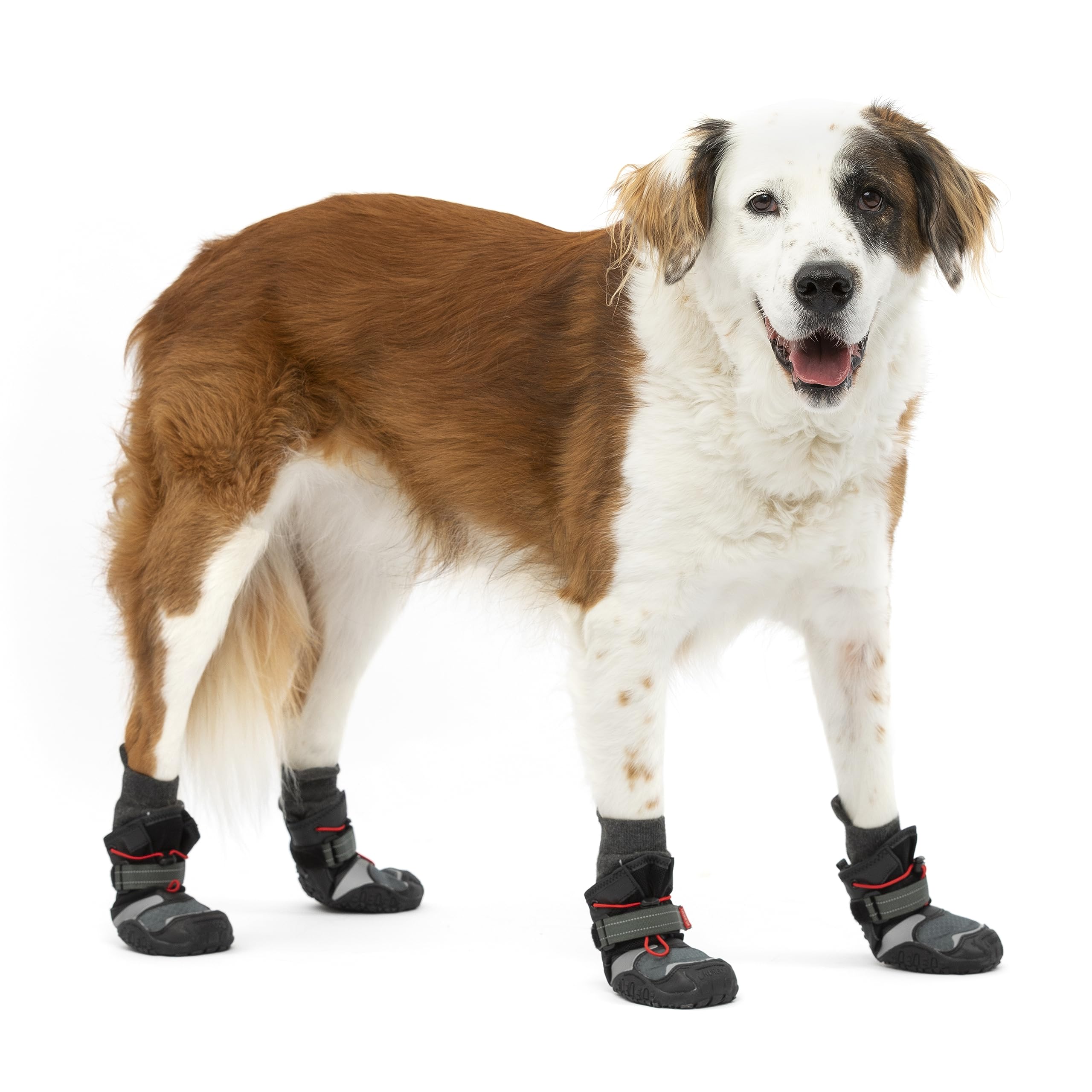 Kurgo Blaze Dog Boots - Protects Paws in All Seasons - Breathable Fabric - Water Resistant Dog Shoes - Dual Ankle Closure - Reflective Dog Boots - Includes 2 Shoes - Chili Red/Black - L