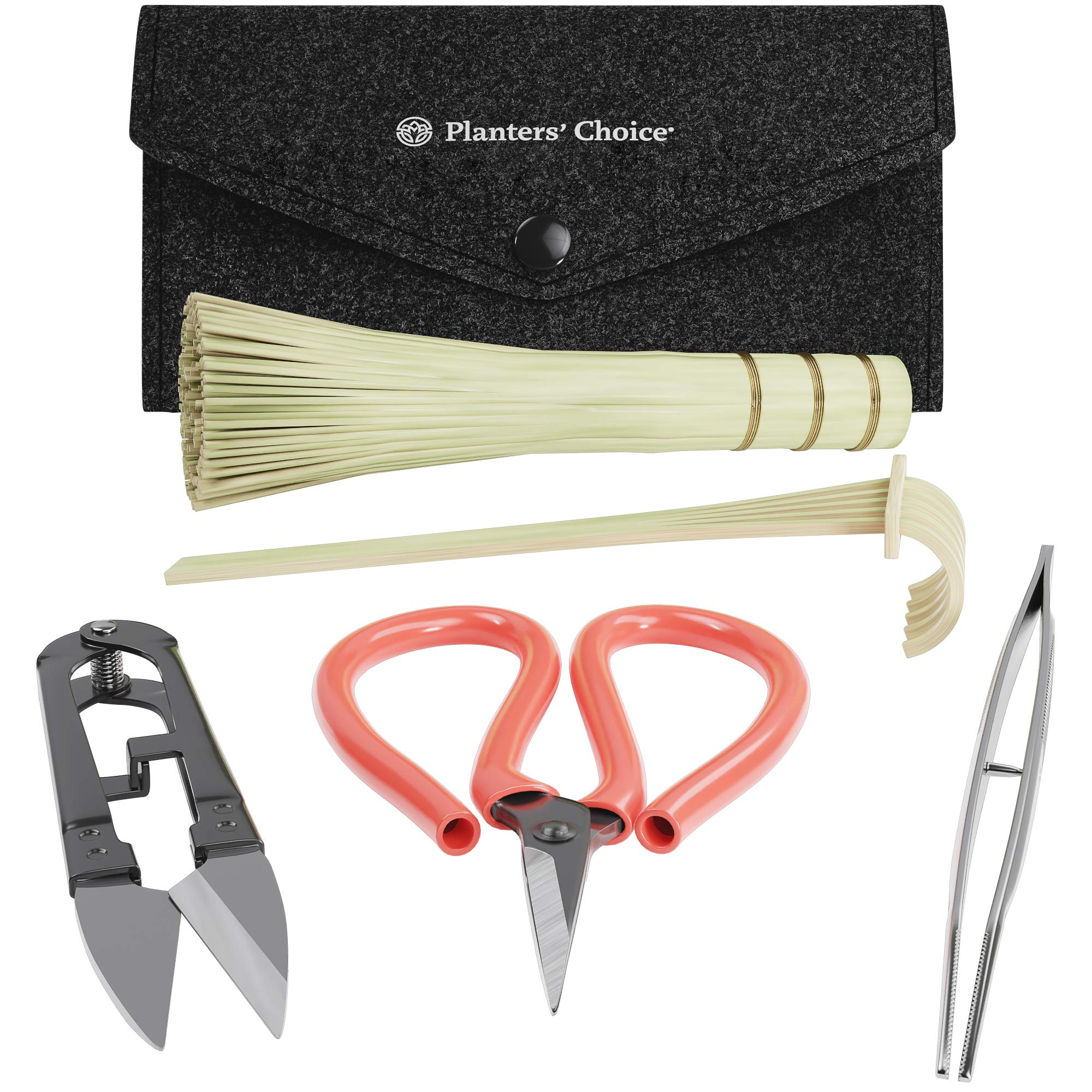 Planters' Choice Succulent & Cactus Growing Kit with Moisture Meter