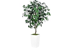ASTIDY Artificial Ficus Tree 5FT - Faux Indoor Tree with White Tall Planter - Fake Ficus Floor Plant Potted - Artificial Silk Tree for Home Office Living Room Decor Indoor