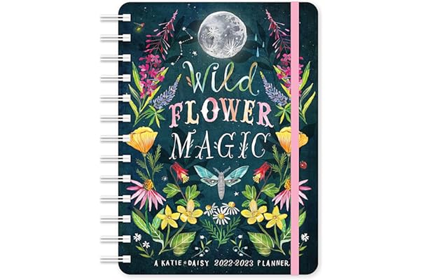 Calendrier 2023 Wonders Amazon.com New Releases: The Best-Selling New & Future Releases In Art  Calendars