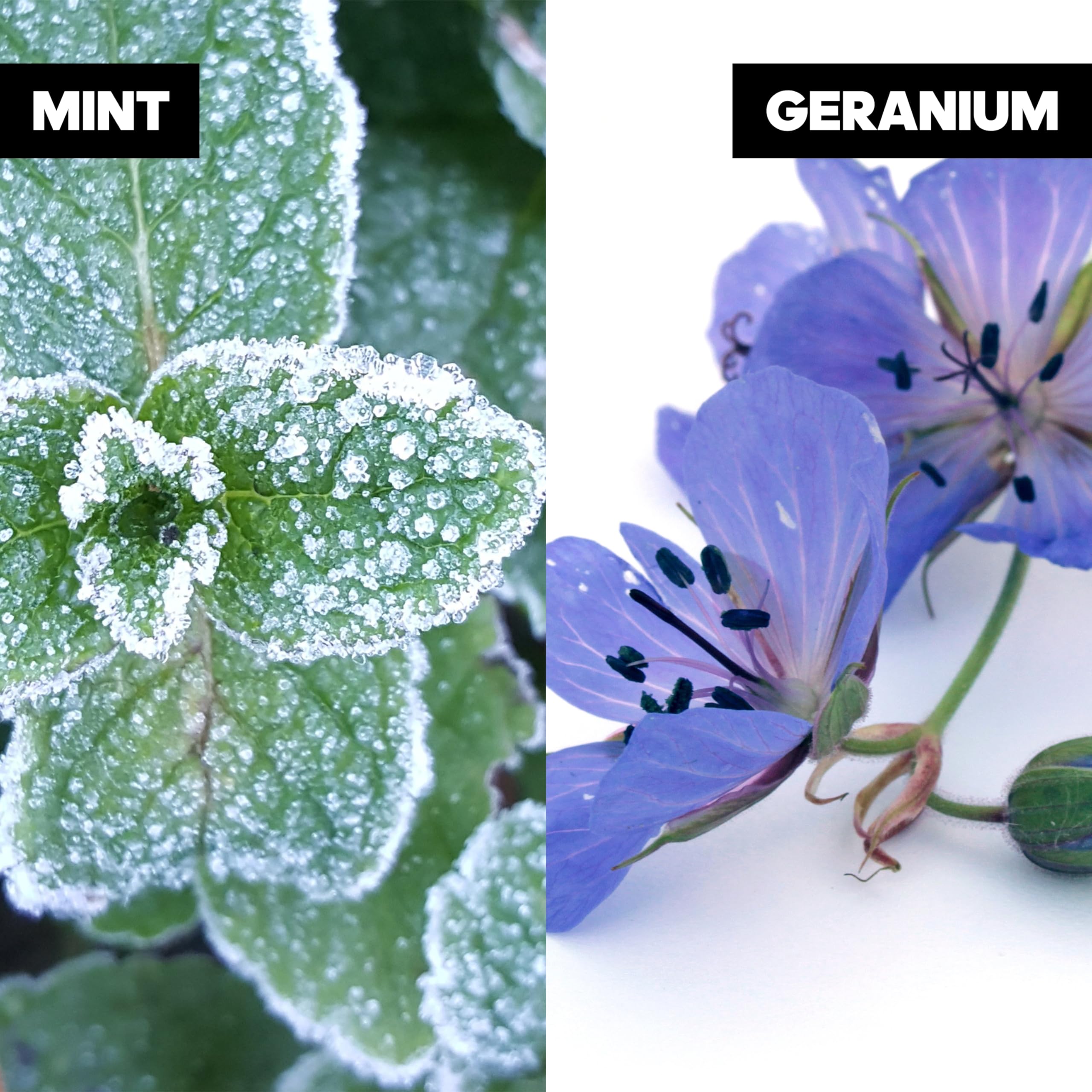 adidas Dynamic Pulse, Ice Dive, Pure Game Giftset, Natural Spray 2.5 fl oz, Notes of Rosemary, Lemon, Peppermint, and Grapefruit, Men's Fragrance, Long Lasting, Sporty Fragrance