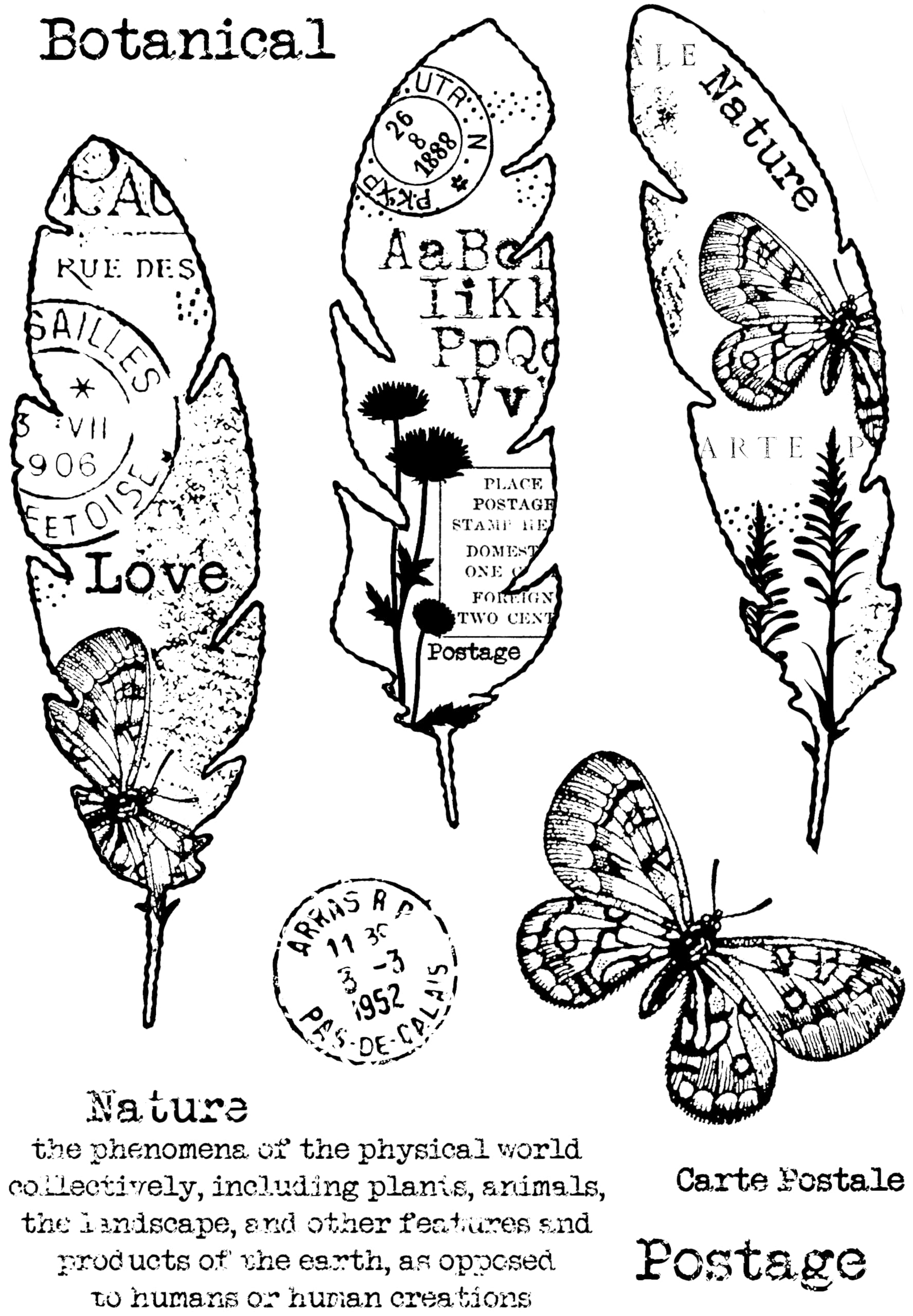 Woodware Clear Singles Paper Feathers 4 in x 6 in Stamp Set, 4 x 6 in