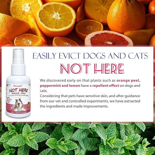 PETSTORAL DOG NOT HERE & HERE POTTY TRAINING SPRAY KIT, PUPPY ESSENTIALS. PEE HERE CORRECTOR SPRAY, PREVENT YOUR PET FROM SOILING THE CARPET. CITRUS AND MINT, 1.69 FL OZ EACHAL
