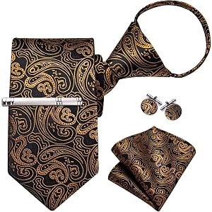DiBanGu Paisley Adjustable Ties for Men Pre-tied Necktie Set | Pocket Square,Cufflinks,Clip,5PCS,Silk Fabric,Zipper Design,Gi