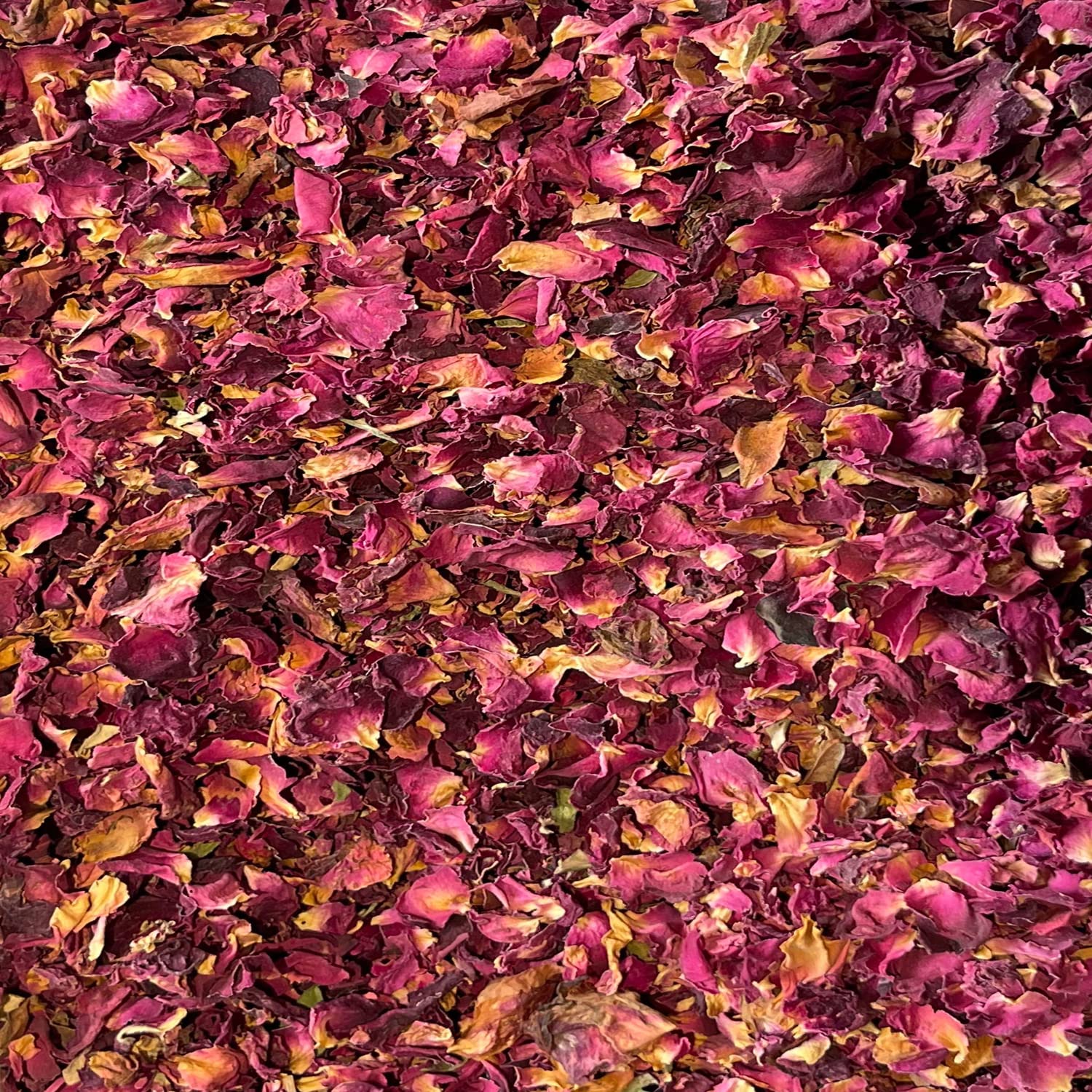 Biodegradable Confetti for Weddings - Burgundy Rose Petals Dried Flower Confetti - 5 LITRES 100% Natural Eco Friendly, Suitable for 50-60 Guests (5 LITRE)