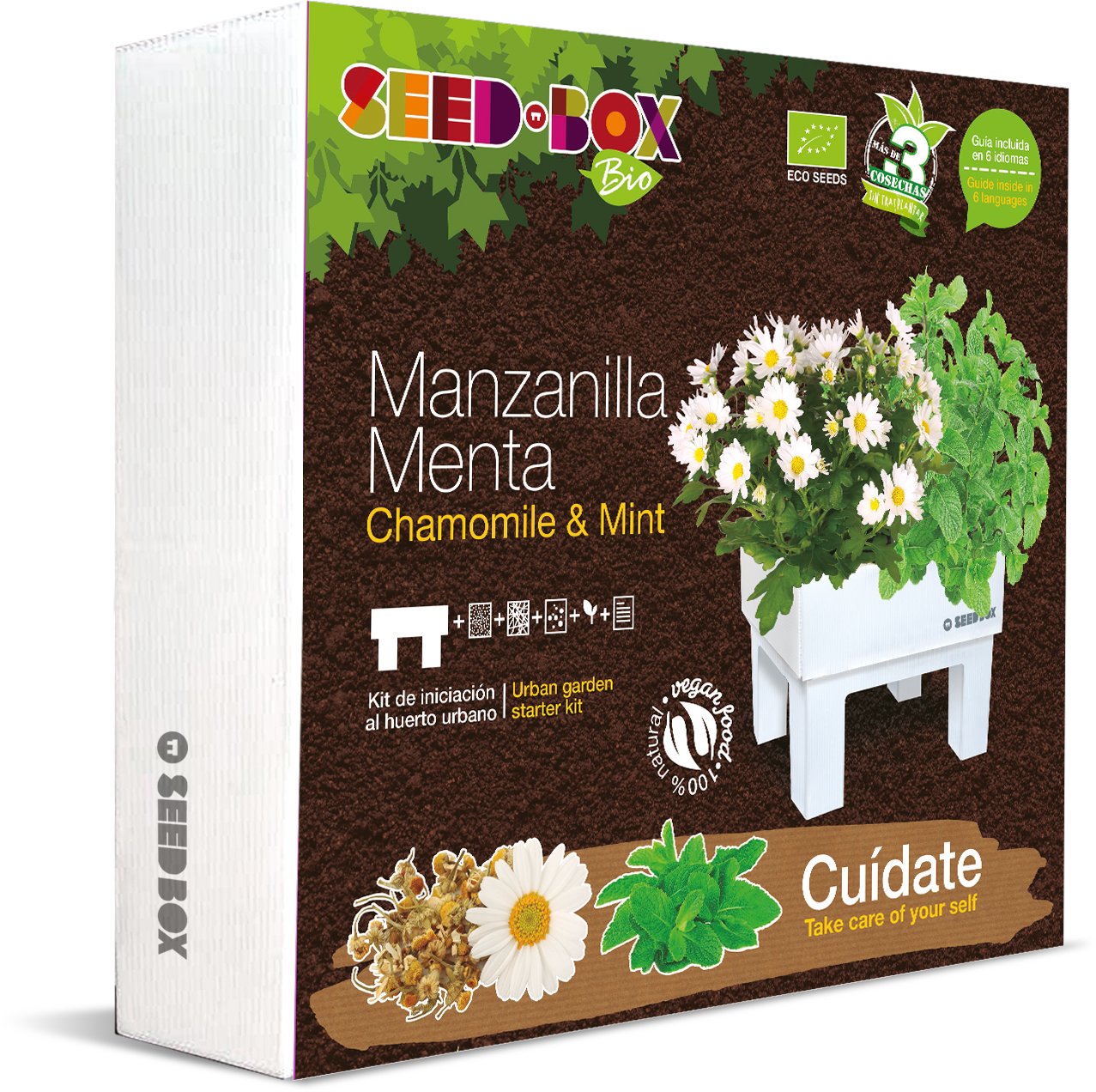 SeedBox SBBICU - Kit huerto urbano de manzanilla y menta: Amazon ...