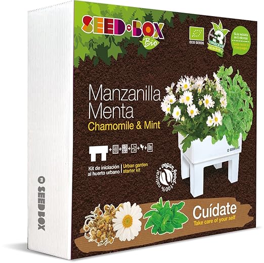SeedBox SBBICU - Kit huerto urbano de manzanilla y menta: Amazon ...