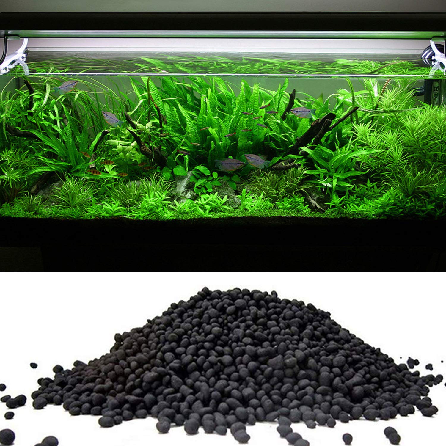 fish tank soil