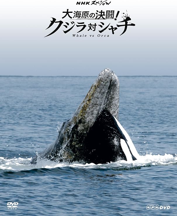Amazon Co Jp Nhkスペシャル 大海原の決闘 クジラ対シャチ Dvd Dvd ブルーレイ