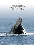 NHKスペシャル 大海原の決闘!  クジラ対シャチ [Blu-ray]