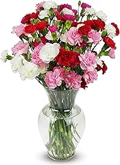 Benchmark Bouquets - 20 Stem Rainbow Mini Carnations (Glass Vase Included) - Fresh Flowers for Delivery - Gift for Graduation
