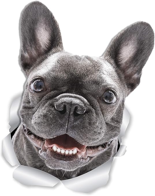 best size dog crate for labrador