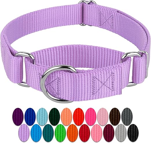 country brook petz collar