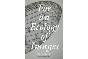 For an Ecology of Images