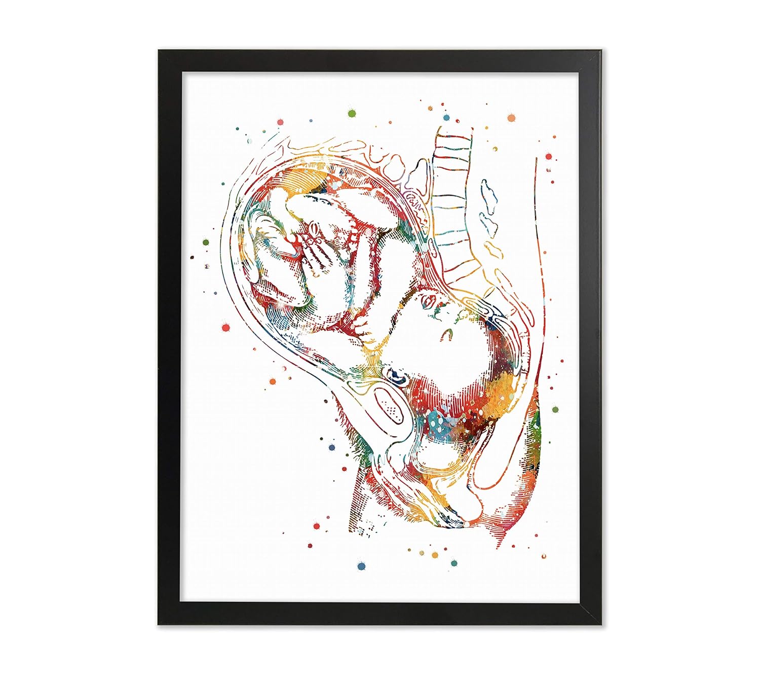 Pregnancy Baby In Womb Watercolor Poster Art Print Ginecology Office Decor Medical Decor Embryo Development Fetus Wall Art Gynecology Pregnancy Stages Wall Decor Pregnant Woman