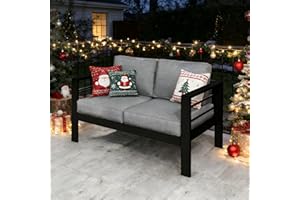 Kiss the Water Outdoor Patio Furniture Loveseat Sofa, All-Weather Metal Aluminum Patio Couch with 5" Thick and Soft Cushion and Wide Arm, Outdoor Couch for Balcony, Porch, Backyard