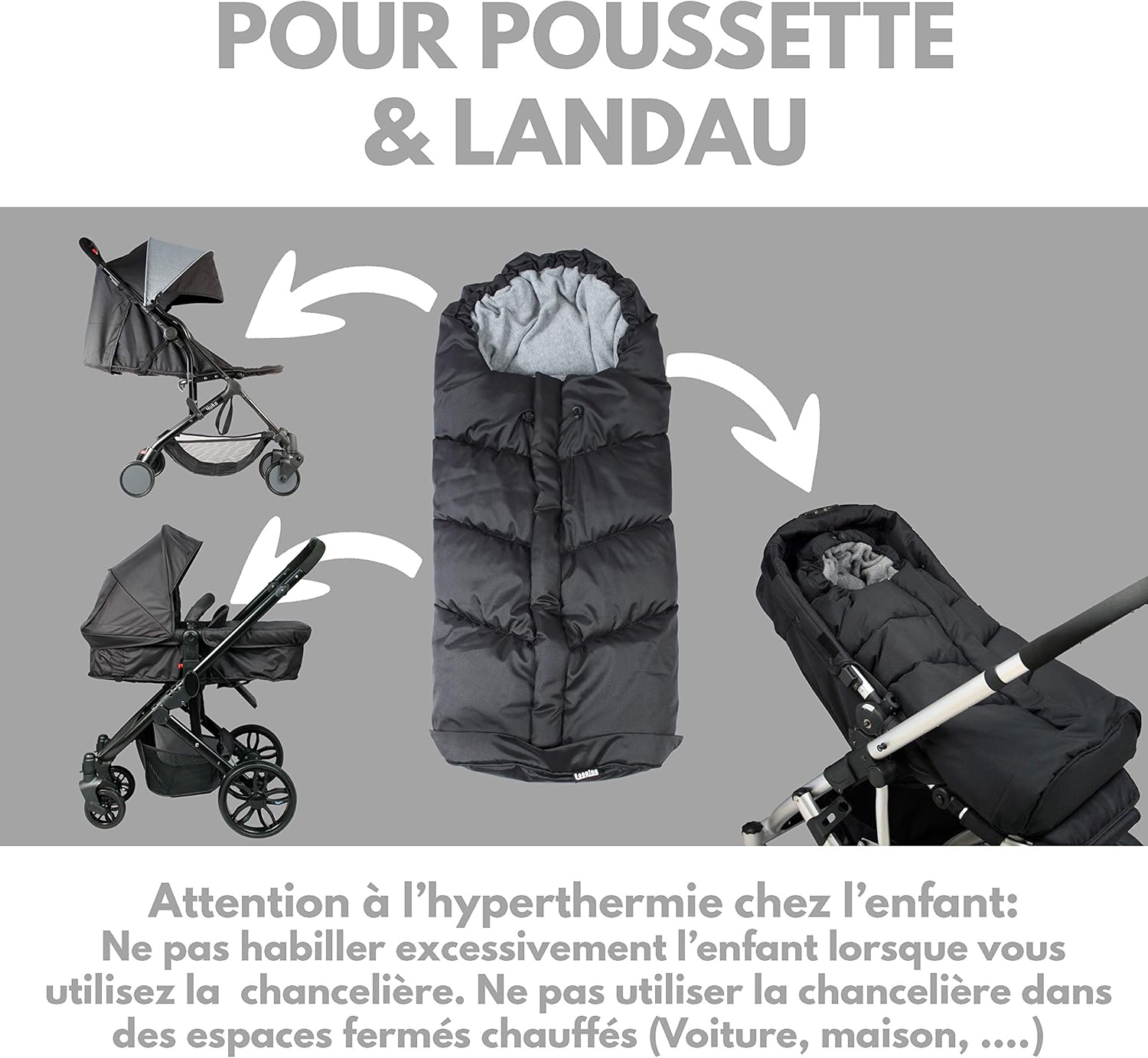 chanceliere looping squizz