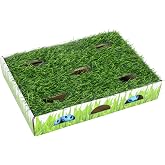 Catstages Grass Patch Hunting Box Cat Toy, Faux Grass &amp; 3 Balls, 10" x 14" | Encourages Exercise, Stimulation &amp; Natural Hunting Instincts, Scratch &amp; Lounge, Interactive Enrichment, Indoor Cats &amp; Kittens