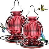 2 Pack Glass Hummingbird Feeder for Outdoors