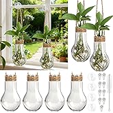 Baderke 9 Pack Window Propagation Stations 3.9 Inch Plastic Hanging Plant Propagation Vases with Hooks & Cleaning Brush Clear Tubes for Plant Clippings, Home Office Decor, Gardening Gifts for Women