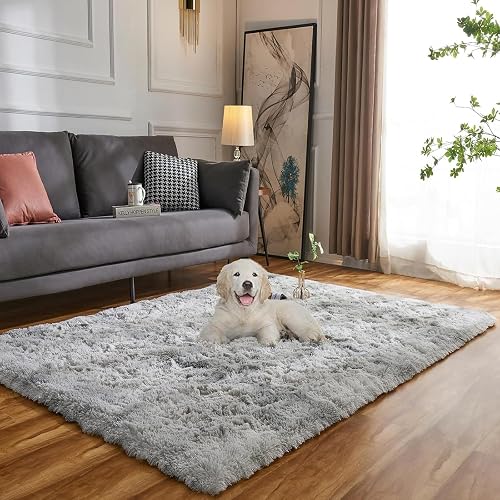 Evitany Rugs Living Room, Fluffy Area Rugs, Non Shedding Anti Slip Carpet, Washable Shaggy Rug for Bedroom,High Pile Carpet for Dining Room,Office,Lounge (Light Grey,80x120 cm)