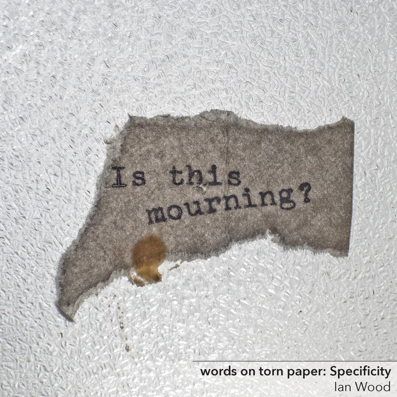 amazon com words on torn paper specificity 9781612642581 wood ian books amazon com words on torn paper