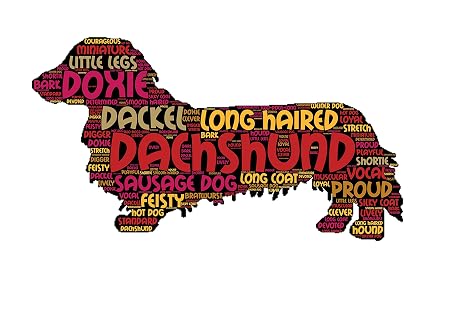 Art Print A3 Long Haired Dachshund Dog With Word Art Giclee Print