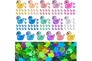 LRNESTO 100 Pcs Mini Resin Ducks to Hide Luminous Tiny Ducks with Sunglasses Miniature Ducks for Dollhouse Family Crafts Aqua