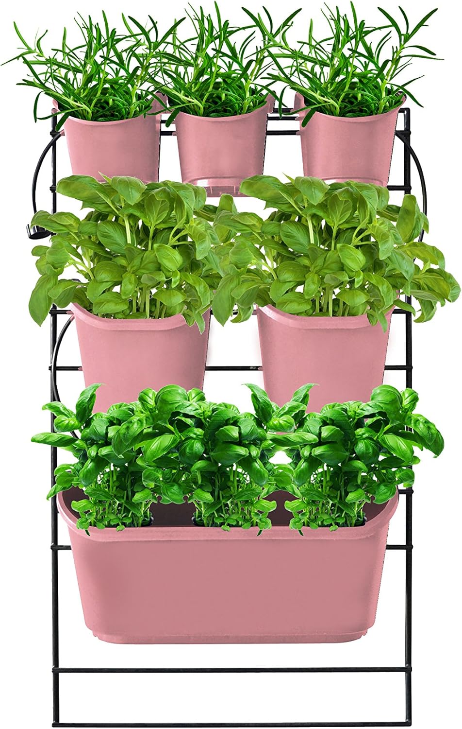 vertical green wall on Amazon Com Watex Wx060 Green Wall Mounted Salmon Rose Vertical Planter Kit Garden Outdoor