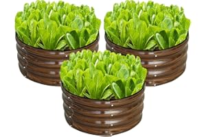 SnugNiture 3 Pcs 2x2x1ft Round Galvanized Raised Garden Bed Kit Outdoor, Metal Planter Box for Planting Plants Vegetables, Br