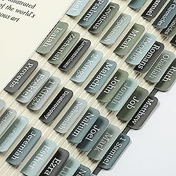 Mr. Pen- Bible Tabs, 75 Tabs, Frozen Lake