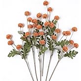 mizii 6Pcs Orange Fake Silk Pompon Mum Artificial Flowers Bulk Small Faux Chrysanthemums with Stems Floral Decorations for Wedding DIY Bouquet Centerpieces Shower Vase Home Decor (Burnt Orange)