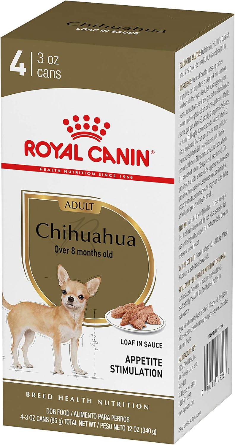 chihuahua in sauce