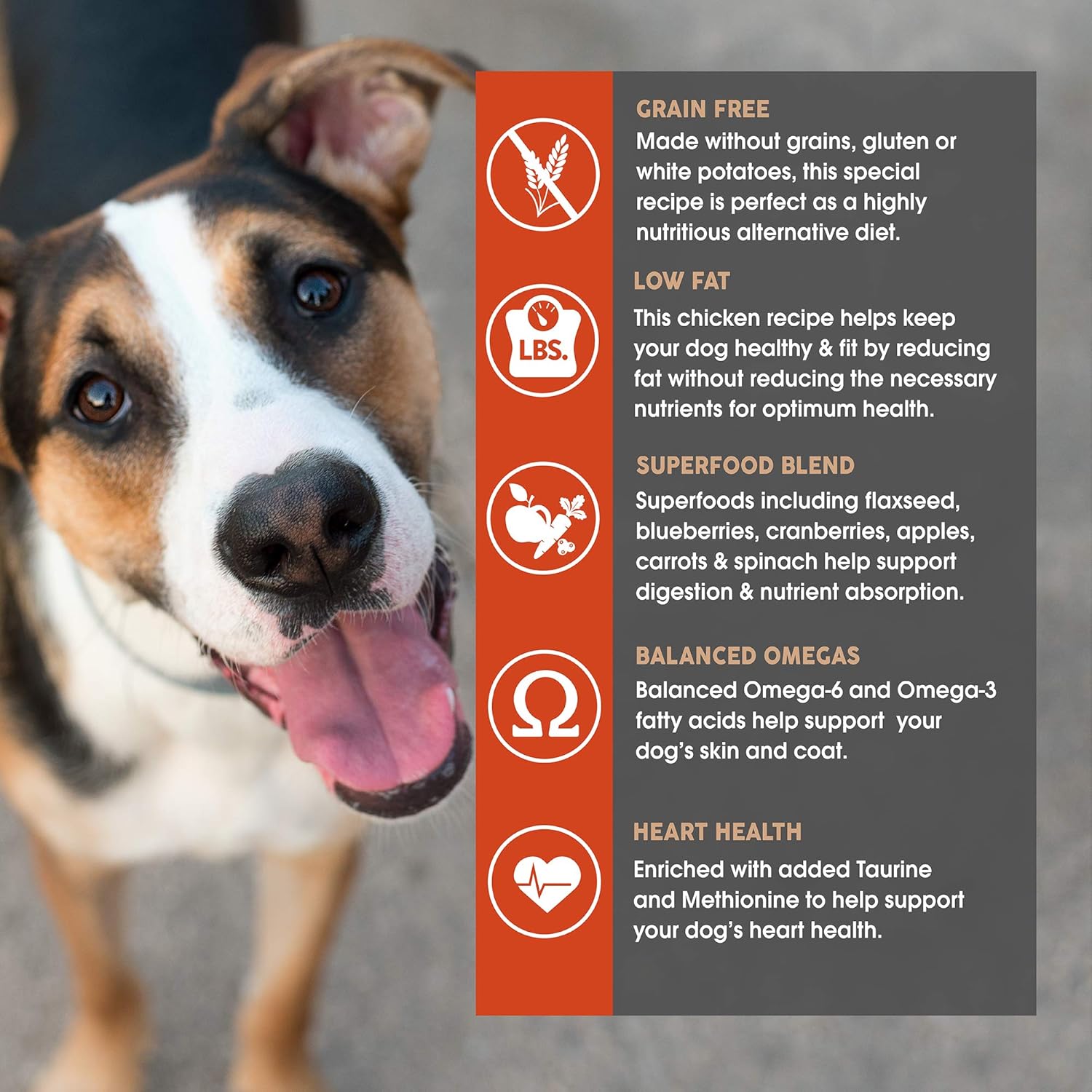 earthborn holistic weight control dog food