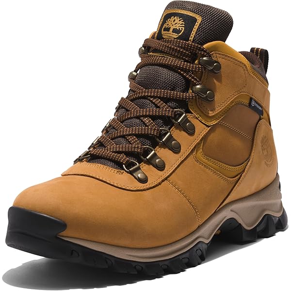Trespass Chaussures de Randonnée Chavez Mid Waterproof Homme Marron