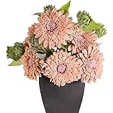 Kimura's Cabin 5Pcs Fake Sunflowers Artificial Flowers 16.5" Long Stem Indoor Fake Flowers in Vase for Wedding Bouquets Home Garden Outdoor Coffee Table Centerpiece Decor (Lotus Root Powder)