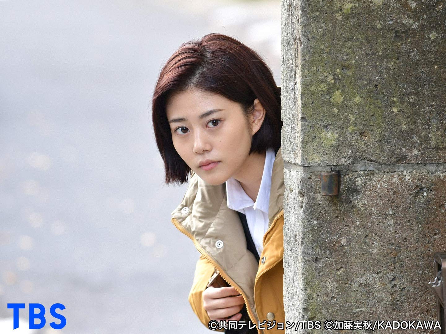 Amazon Co Jp メゾン ド ポリス Tbsオンデマンド を観る Prime Video