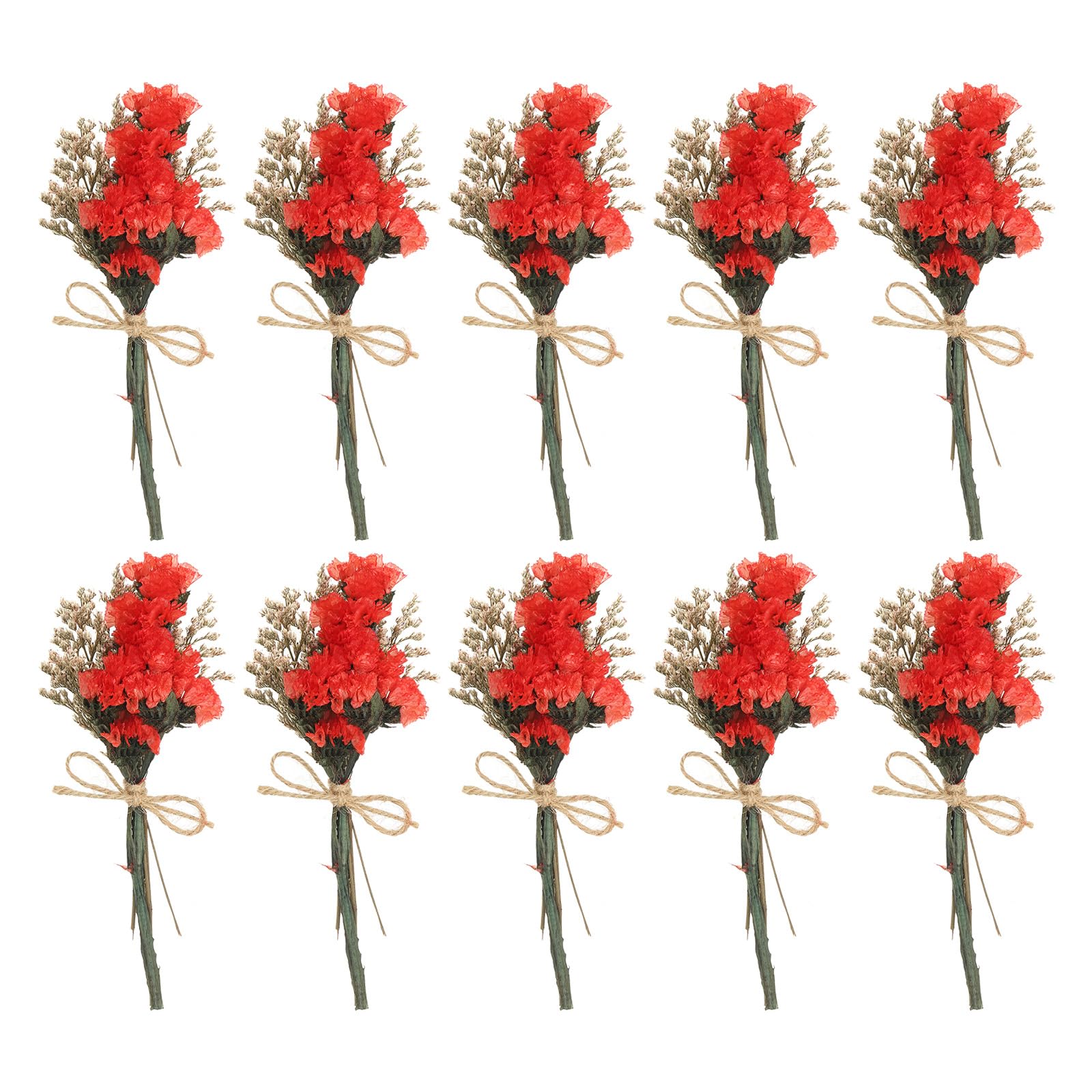 PATIKIL Mini Dried Flower Bouquet, 10 Pcs Forget-me-not Natural Wildflower with Stem Decor Baby's Breath Boho Floral Plant Flower for Crafts DIY Photo Props Gift Wedding Decor, Red