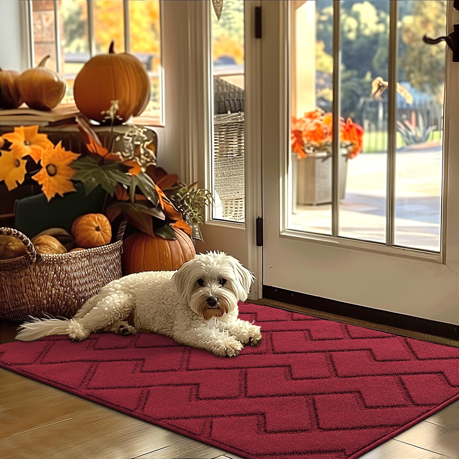 Photo 1 of hicorfe Indoor Door Mat,Non Slip Door Mats,32"x48" Front Back Door Mat Rubber Backing,Absorbent Resist Dirt Entrance Inside Floor Mats for Entryway Washable Low-Profile(Red)