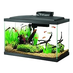 Aqueon 10 Gal LED Aquarium