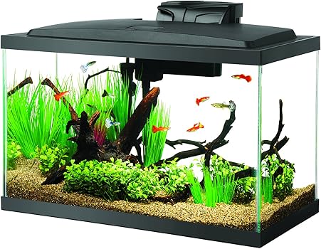 Aqueon Starter Betta Fish Tank Kit