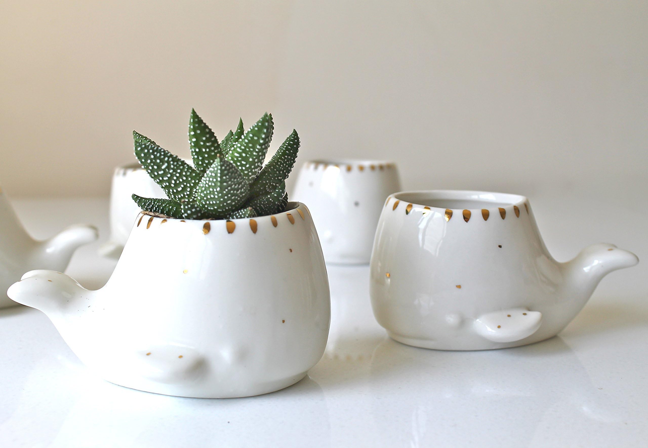 MiniWg Whale Ceramic whale succulent Planter in white with 22k gold -Pottery Succulent Planter-Pottery whale Planter- Mini whale planter-Mini whale succulent pot with 22k gold