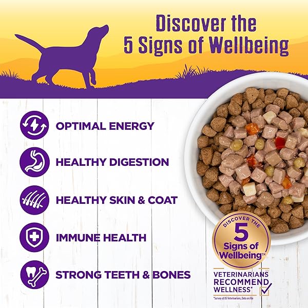 WELLNESS COMPLETE HEALTH THICK & CHUNKY NATURAL GRAIN FREE CANNED WET DOG FOOD, CHICKEN STEW, 12.5-OUNCE CAN (PACK OF 12)